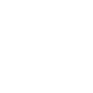 PIMS Logo White